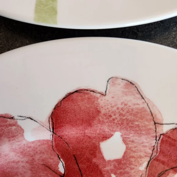 12 Royal Stafford Burlsem Red Poppy Flower Plates 6 Dinner & 6 salad. - Picture 6 of 6